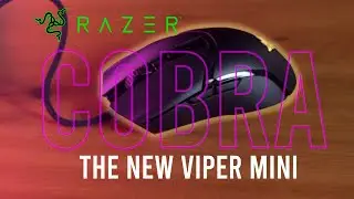 Unboxing and Review: Viper Mini V2 with Razer Cobra
