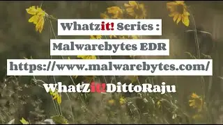 Whatzit! Series - Malwarebytes EDR