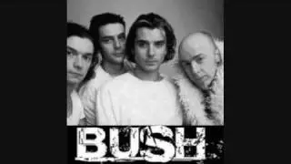 Bush: Little Things