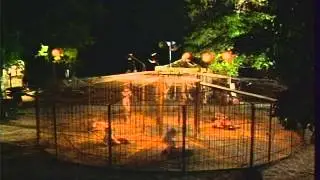 Filme - Enjaulados parte 5