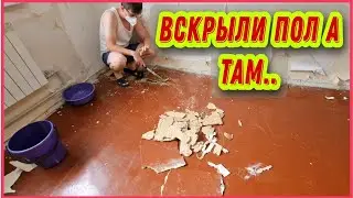 #78 Из Германии в Россию/ Откуда плесень ? Возьмут ли ребёнка в школу ?