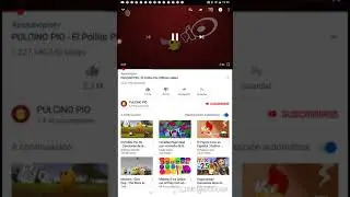 El pollito pio