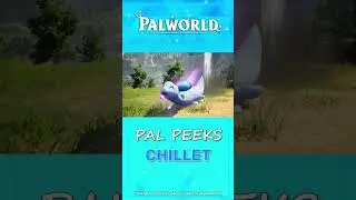 Pal Peeks - Chillet │ Palworld Official