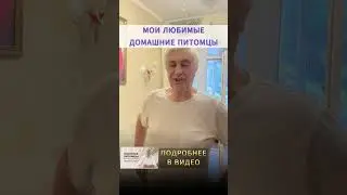 Здоровье домашних питомцев. МЫ НУЖНЫ ДРУГ ДРУГУ