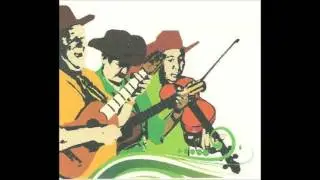 HUAPANGO HUASTECO (LA PRESUMIDA)