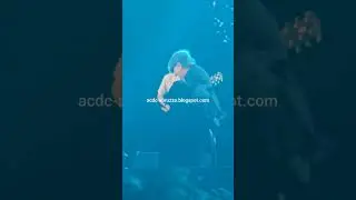 AC/DC Live in Reggio Emilia 25 May 2024 HIGH VOLTAGE