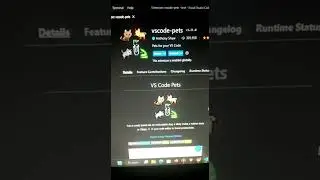 Add Pets In VS Code | Programmer Pets
