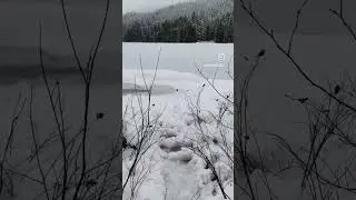 ✨❄️Winter hiking!❄️✨