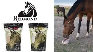 Redmond Equine Products - Equine Minerals and Equine Stress Relief