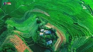 Liên khúc Nhạc sống nghe hoài không chán. #ruongbacthang #phongcảnhđẹp