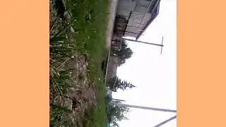 Сегодня без дёртов