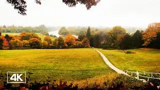 Beautiful Fall in Richmond England - Golden Trees, Misty Hills, River Views & Wild Deer