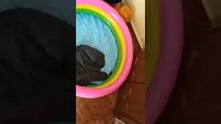 Рум тур номера в гостинице