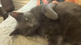 My little girl is stretching on the couch in the afternoon . Being bored at home.