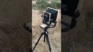 Shooting 4x5 in Ashdown Forrest