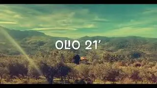 Evo Organic Olive Oil Making