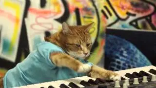 KEYBOARD CAT'S PIANO LESSON