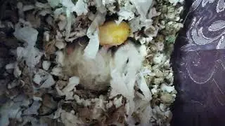 Я вернулась))) И хомоужин 🙃🙃