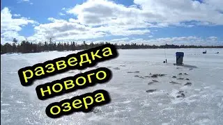 РАЗВЕДКА НОВОГО ОЗЕРА ПО ОКУНЮ #тайгахмао