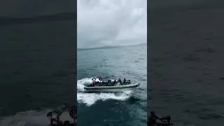 MARCOS - Indian Navy's special force in action #marcos #indiannavy #specialforces #marcoscommando