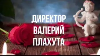 Ролик реклама проект 