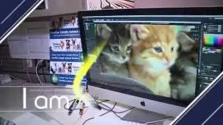 Senior Graphics Designer - I Am Pinellas County