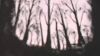 How To Paint Distant Trees Tip From Darrell
