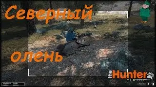 theHunter Classic. Охота на Северного оленя.