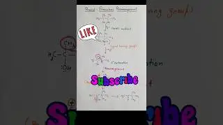 Pinacol-Pinacolone Rearrangement|Organic Name Reaction|Chemistry for NEET JEE IIT JAM HTET STET EXAM