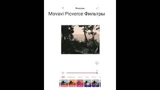 Movavi Picverse -effects