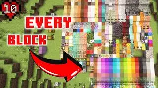I Collected All The Blocks in Minecraft