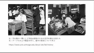 体験から新たな民主主義へージョン・デューイの「実験学校」【サンプルレクチャー】