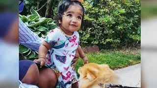 One Year Old Meets an 8 Mos Old Pom Pup
