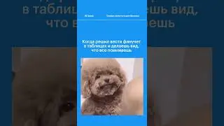 Хватит мучиться с таблицами 😁 Лучше переходите в Adesk, 14 дней бесплатно. Ссылка в канале.