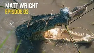CATCHING WATERHOLE CROCODILE