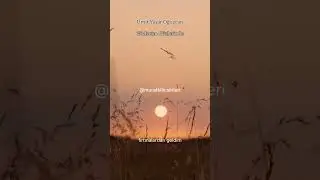 Gözlerim Gözlerinde - Ümit Yaşar Oğuzcan