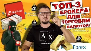 TOP 3 Forex Brokers for 2025