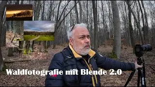 Landschaftsfotografie | Waldfotografie mit Blende 2.0 | Vlog & Film mit Dji Action 3