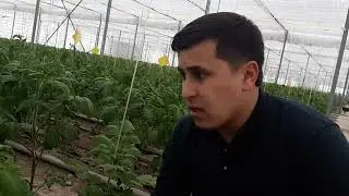 ТЕПЛИЦА БИЗНЕСИ ОРКАЛИ 100 000$ ИШЛАЩ МУМКИН ЭКАН???