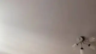 Мой трудолюбивый сосед