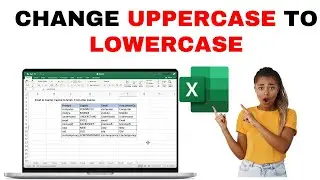 How to Change Uppercase Into Lowercase In  Excel