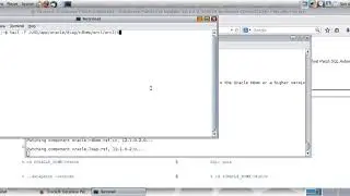Oracle 12c Database patching on Solaris 11