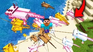 new bug in minecraft 1.17? 🤔