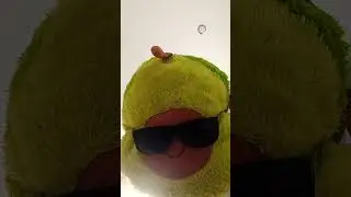 капубара