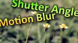 Shutter Angle & Motion Blur