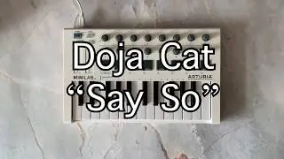 Doja cat - say so instrumental cover