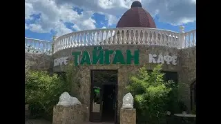 Окунемся в атмосферу Тайгана! Парк львов Тайган #тайган #Крым