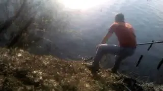 черепаха на живца
