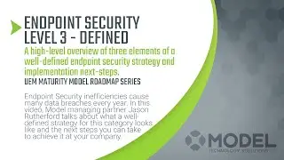 Partially Secured | Defined Endpoint Security (Level 3)