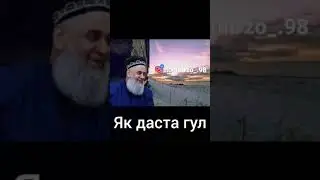 ЯК ДАСТА ГУЛ. ХОЧИ МИРЗО